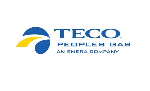 TECO USE 2
